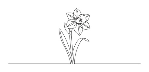 Naklejka premium Single continuous line drawing of a daffodil flower with stem and leaves in a minimalist black and white art style, representing spring, nature, and simple elegance