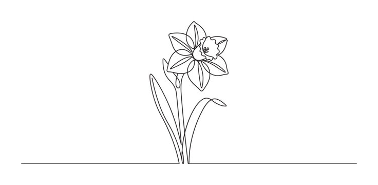 Single continuous line drawing of a daffodil flower with stem and leaves in a minimalist black and white art style, representing spring, nature, and simple elegance