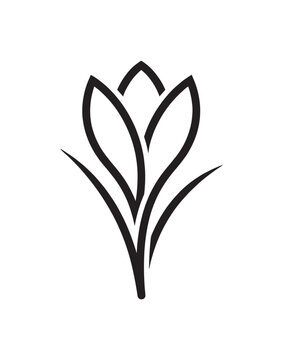 Black line art flower icon with elegant, flowing petals and leaves, representing a stylized crocus or saffron blossom in a simple, minimalist graphic design for branding