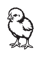 Fototapeta premium Cute fluffy baby chick illustration in a bold black and white graphic style, showing the small bird standing with simple, clean lines and high contrast for a modern design
