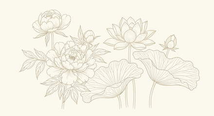 Graceful botanical line art depicting delicate peony and majestic lotus flowers with intricate leaves, an elegant illustration showcasing timeless natural beauty and serene floral composition © Commander