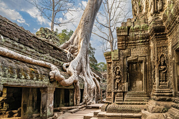 Siem Reap, Cambodia &ndash; Ancient Khmer architecture. Giant tree roots over the beautiful Prasat Ta Prum or Ta Prohm temple at Angkor Wat complex.