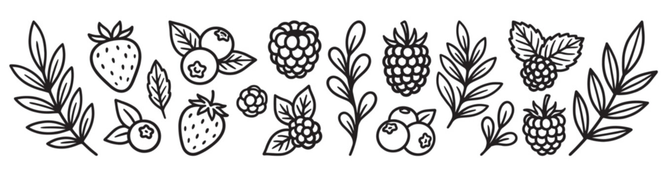 Hand-drawn doodle set of various garden berries and leaves, including strawberry, raspberry, and blueberry, illustrated in a simple black and white monochrome line art style