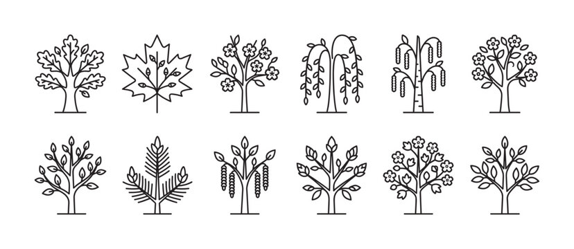 Collection of twelve different tree icons in a minimalist black line art style, a graphic set of various plant symbols including oak, maple leaf, and flowering trees