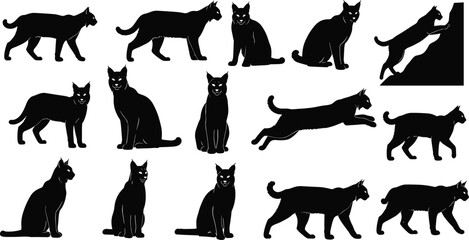 Black panther silhouette collection, wild cat predator poses, feline wildlife vector set for tattoo, logo, illustration design © Jisan World