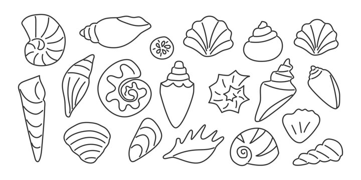 Vector set of hand drawn seashells in clean outline style. Black doodle line art shell icon on white background. Ideal for coloring pages, beach decor, packaging, educational design, summer design