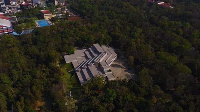 Tamayo - Mexico City