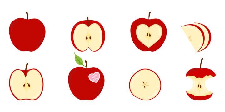 Cute set with fresh red apples on white background. Whole, sliced, halves and  bitten one autmn fruits.  Romantic healthy snack decor. Flat vector illustration.
