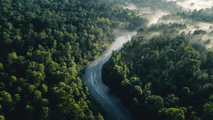 River running through dense green forest
