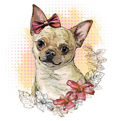 Chihuahua dog with flowers hand drawing vector illustration