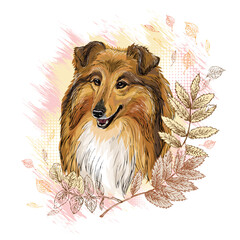 Collie dog in flowers hand drawn vector illustration