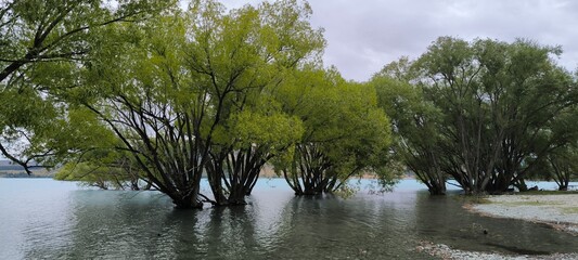 a body of water with trees in the background
