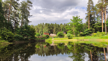 Obraz premium A scenic spring landscape features water and fresh greenery. Harmony and natural beauty.