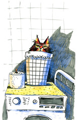 Cat Peeking From Laundry Basket