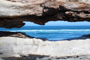 Pacific Ocean view through a crack in a dry tree trunk, Chile