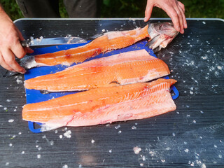 Man cutting and fillets and bones off fresh tasty salmon with sharp big knife on a foldable camping table. Fishmonger at work. Fish preparation for cooking. Green grass field background.