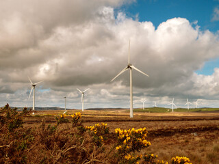 A wind turbine is standing in a field with a cloudy sky in the background. Scene is calm and peaceful, as the wind turbine is a symbol of renewable energy and the natural beauty of the landscape