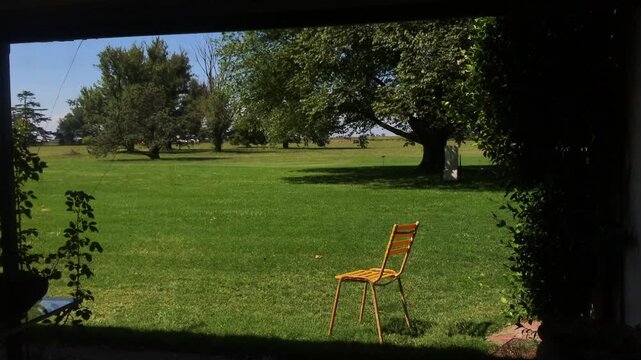 Yellow Chair in Sunny Garden with Green Grass and Tree in Peaceful Summer Rural Park Scene