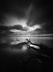 Dramatic monochrome waterscape with a fallen tree, blurred clouds, and a still reflection