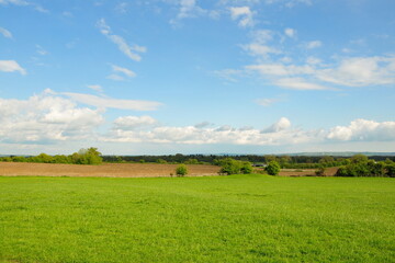 Landscape view of a green grass flied and blue sky with white fluffy clouds © 1000 Words