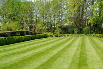 Scenic view of a beautiful English style landscape garden with a freshly mowed striped grass lawn and green leafy plants