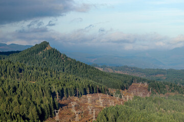 Transmission line electricity corridor Right of Way (ROW) cutting through evergreen forest area.