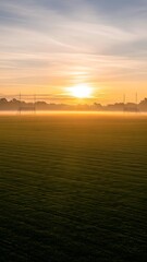 Golden Sunrise Over Misty Field with Distant Trees and Power Lines.
