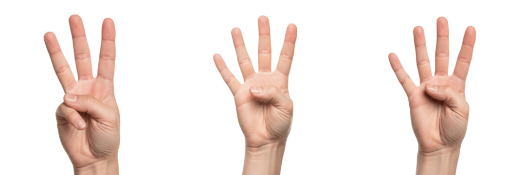 Hand showing four fingers close-up isolated on white background, human hand with open palm, counting gesture, hand communication, body language, finger gesture, hand posture, hand expression