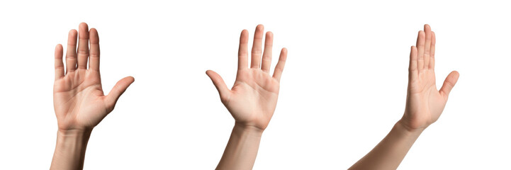 High five hand gesture close-up isolated on white background, human hands slapping palm, celebration gesture, greeting gesture, hand communication, body language, hand posture, hand expression, hand c © Image