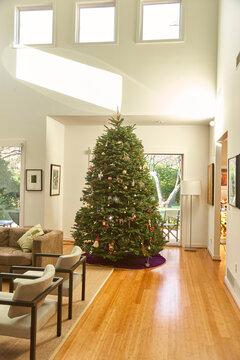 Decorated Christmas tree stands in modern living room with high ceilings and natural light