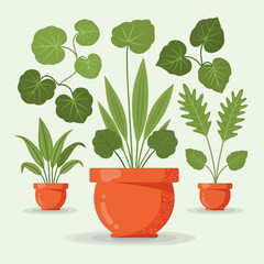 Obraz premium Potted plants arranged together in vibrant orange pots showcasing various green leaves and foliage from different angles