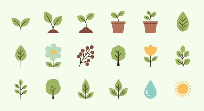 Collection of Various Plants and Botanical Elements.