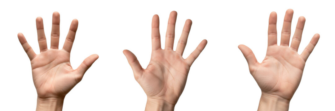 Hand showing palm with spread fingers close-up isolated on white background, human hand signaling stop, openness, or high-five gesture, hand communication, body language, hand posture, hand expression