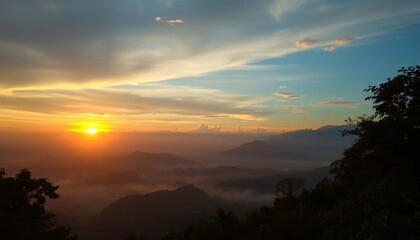 Naklejka premium Majestic sunset horizon glowing softly above jungle