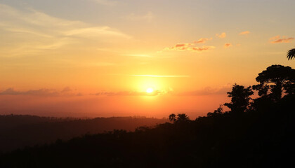 Fototapeta premium Scenic golden sunset shining over jungle horizon sky