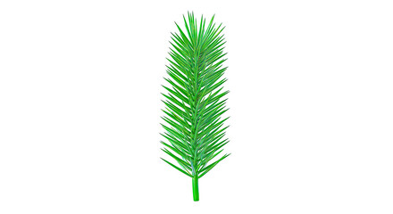 Single green pine needle branch on white background