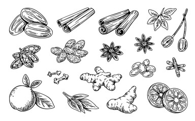 Hand-drawn spices collection: anise stars, cinnamon, ginger, almonds, citrus fruits.