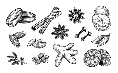 Hand-drawn illustration of various spices isolated on a white background.