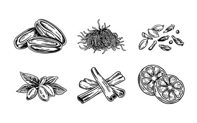 Hand drawn spice elements: dates, saffron, cardamom, almond, cinnamon, lemon.