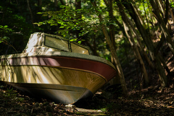 山の中に放置された船