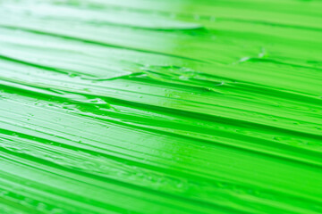 Obraz premium 緑色のアクリル絵の具を伸ばした質感のクローズアップ撮影13