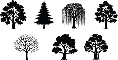 Tree silhouette collection, diverse tree shapes, botanical icons, forest elements, oak tree, willow, conifer, leafless tree, stylized foliage, nature design © MDALRAFIN
