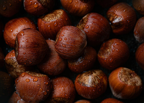 Hazel nut 