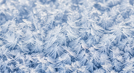 Fototapeta premium Frozen ice crystal texture winter background macro