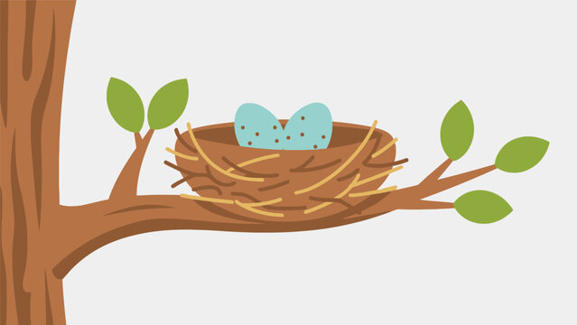 Birds Nest with Blue Eggs on Branch.