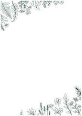 Obraz premium 手描きボタニカル線画小花コーナーフレーム（緑一色）／Hand Drawn Botanical Green Line Art Small Floral Corner Frame