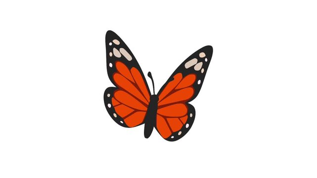 2D Animated Butterfly for Spring Nature and Garden Video