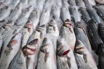 Obraz premium Fresh sea fish arranged on ice at a fish market in Sharjah, UAE. Clean display highlighting natural seafood quality, freshness, and healthy nutrition concept.
