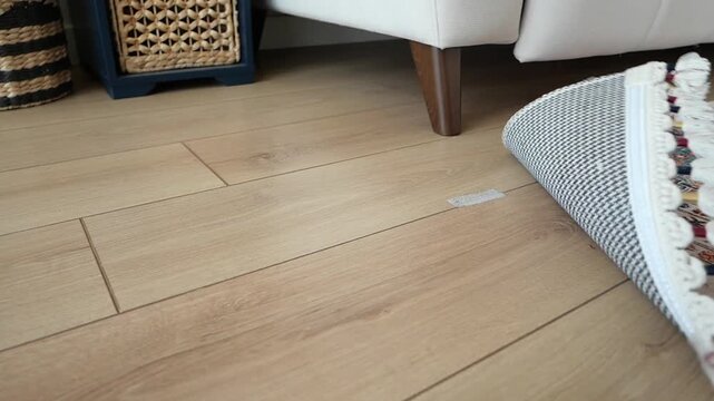 Rug being unrolled onto a light wood laminate floor in a living room next to a sofa