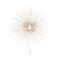Fototapeta premium A close-up view of a delicate white dandelion seed head ready to disperse isolated on transparent background